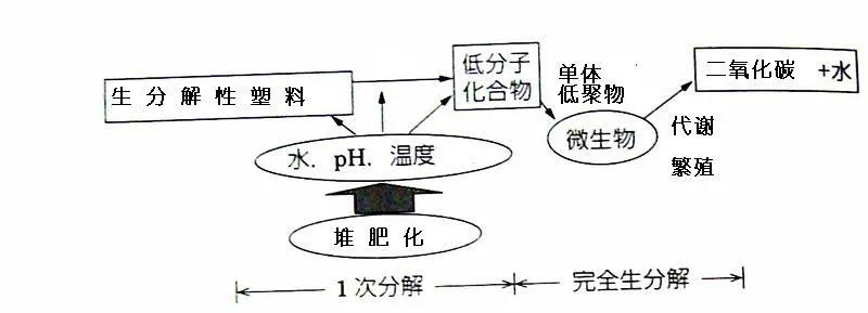 可生物降解環(huán)保塑料可以回收再利用嗎？(圖3)