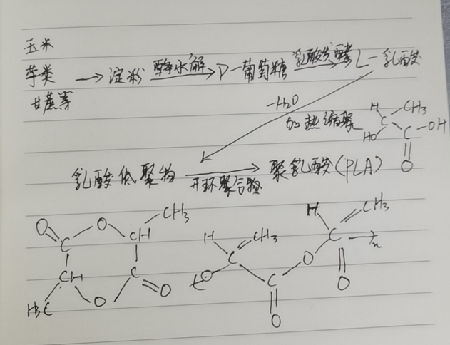 生物降解袋中的PLA是如何制得的？(圖2)